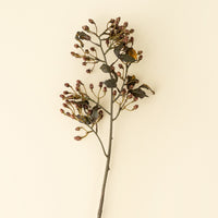 HYPERICUM SPRAY