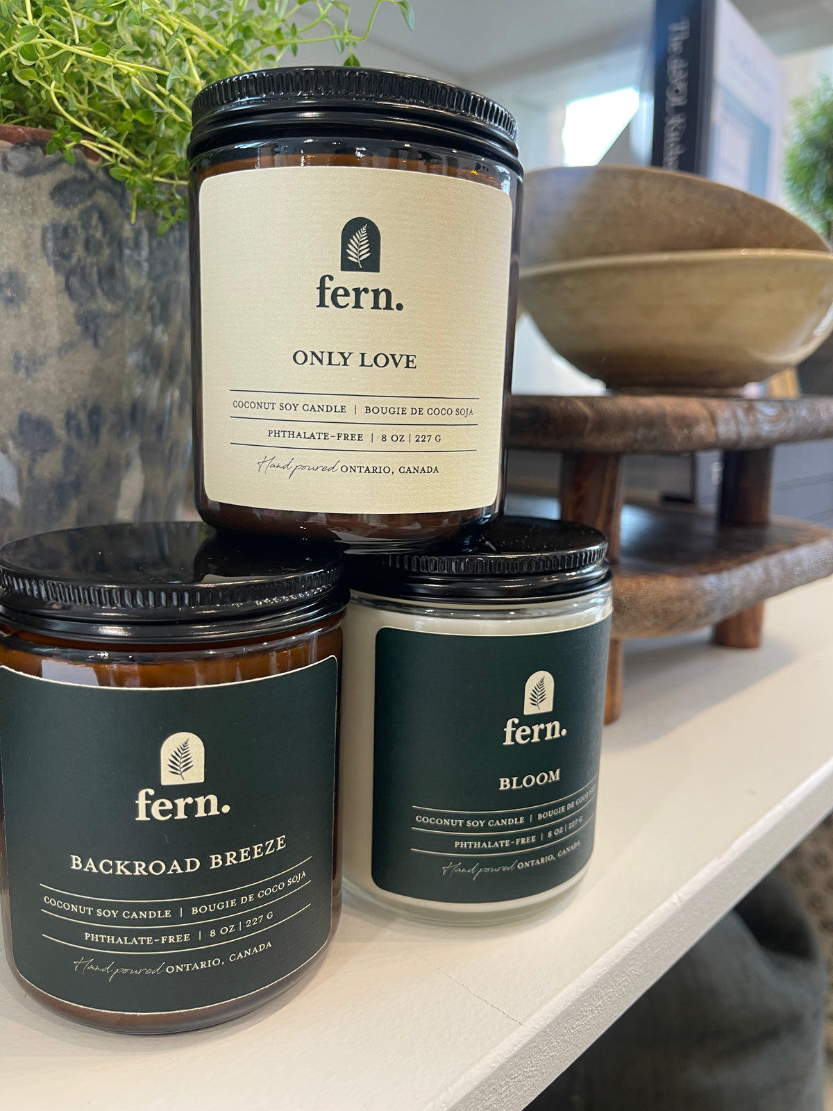 THE FERN COMPANY CANDLES