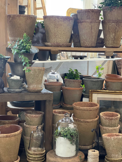 DISTRESSED TERRACOTTA POT W/ TRAY