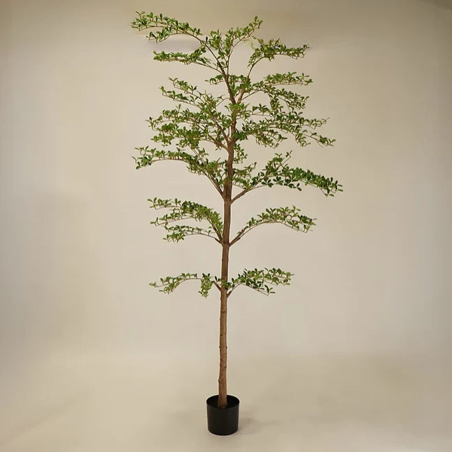 FAUX SHADY LADY OLIVE TREE