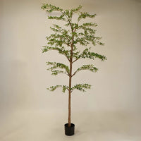 FAUX SHADY LADY OLIVE TREE