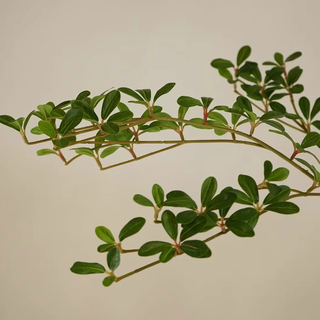 FAUX SHADY LADY OLIVE TREE