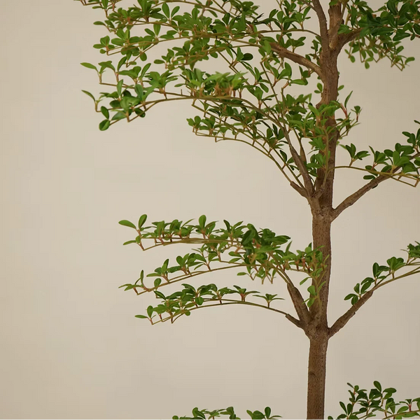 FAUX SHADY LADY OLIVE TREE