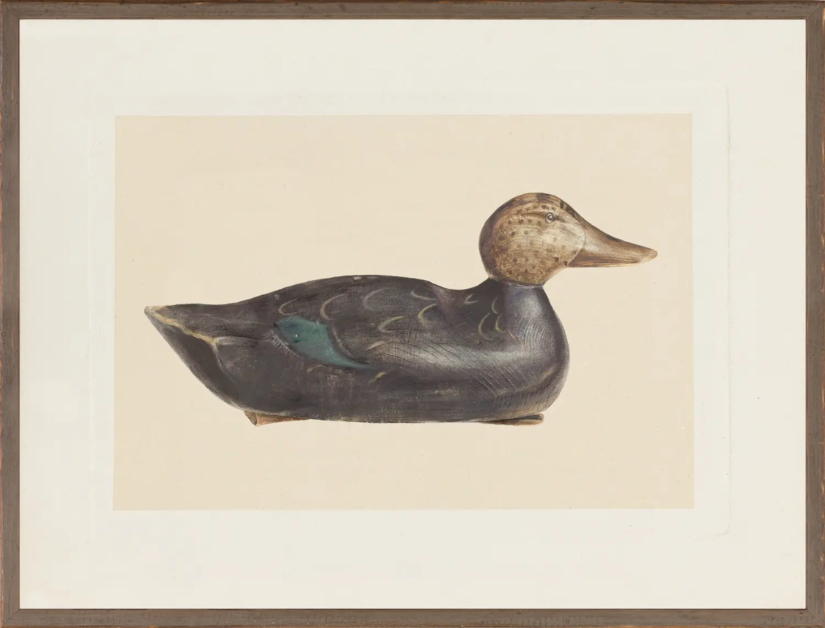 NORTHERN COLLECTION – DECOY C. 1940