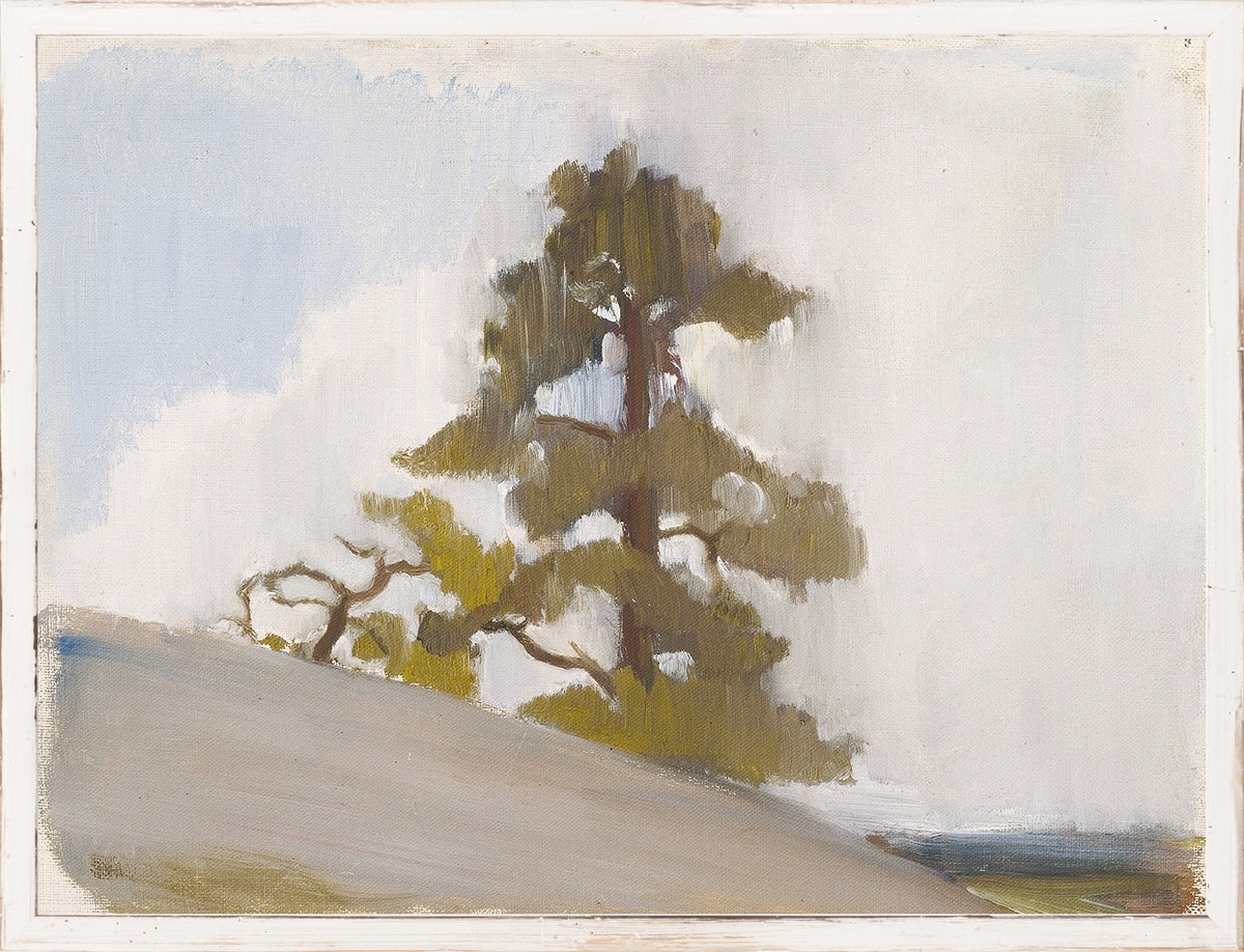 NORTHERN COLLECTION – JACK PINE C. 1880